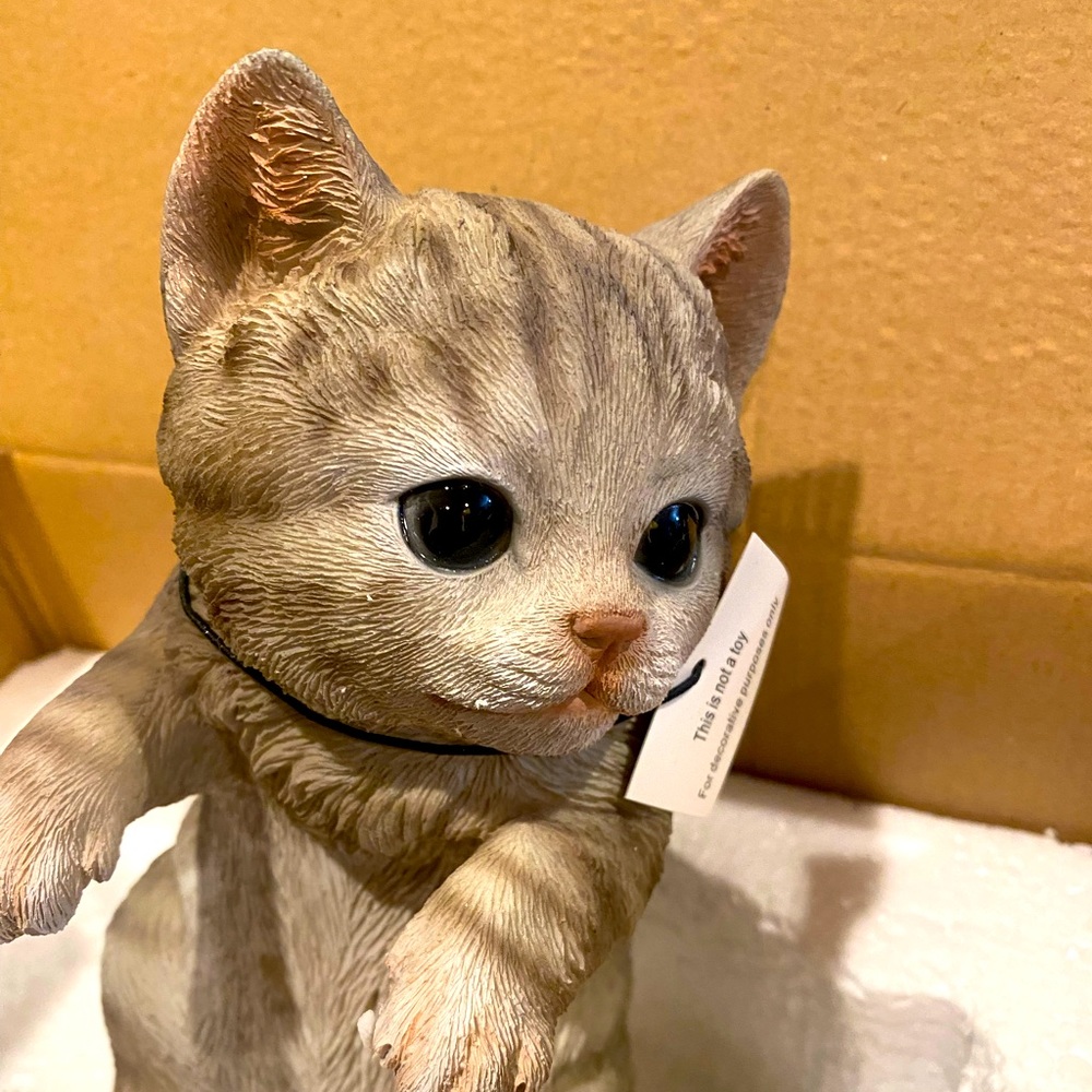 Grey Tabby Kitty Peeker